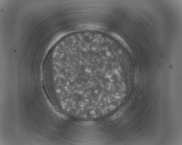 X0000081441031200702092219