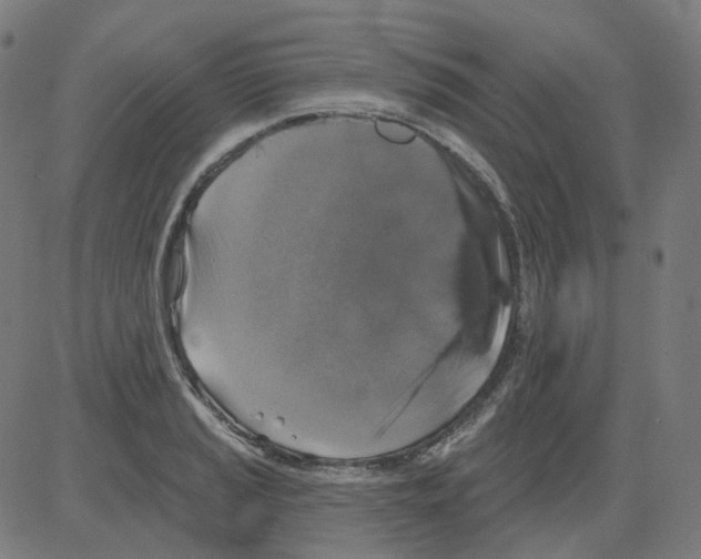 X0000081441037200702092219