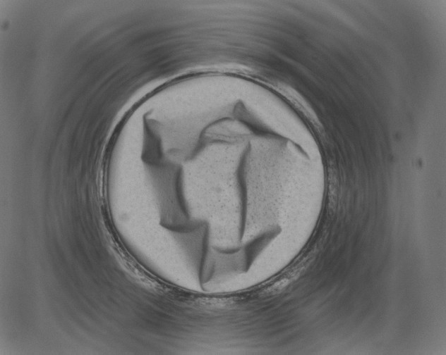X0000081441044200702092220