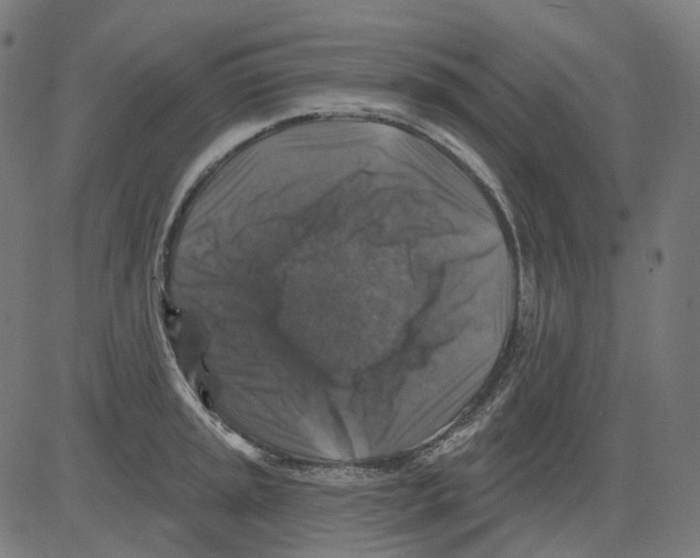 X0000081441045200702092220