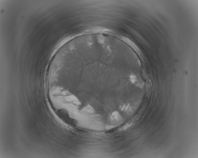 X0000081441055200702092220