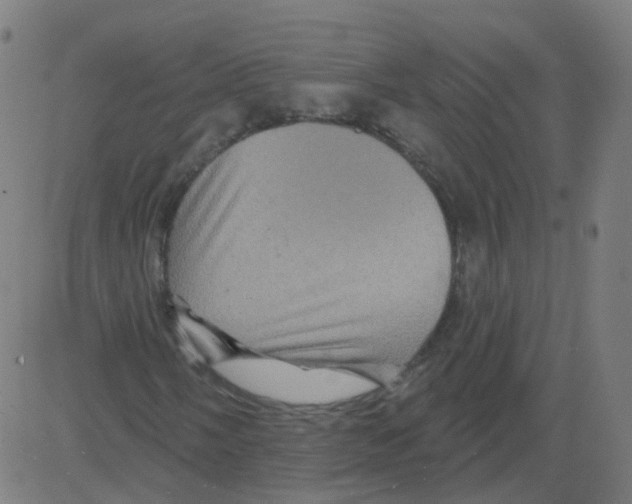 X0000081441058200702092219