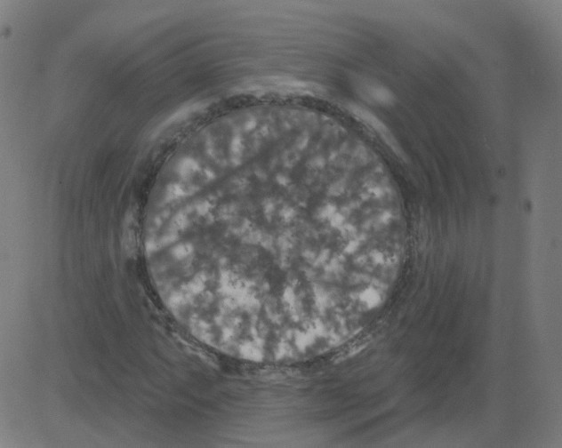 X0000081441063200702092219