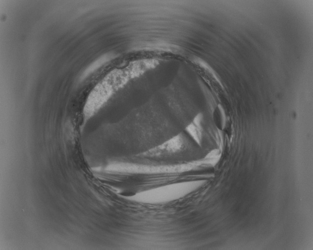 X0000081441064200702092219