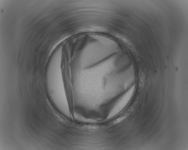 X0000081441073200702092219