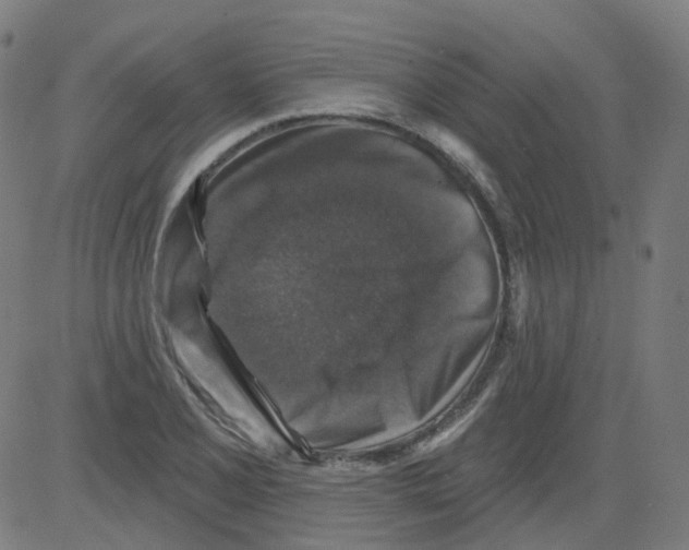X0000081441077200702092219