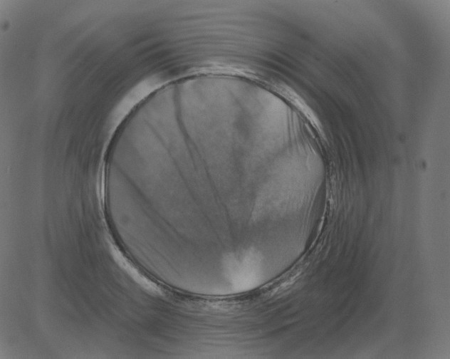 X0000081441084200702092219