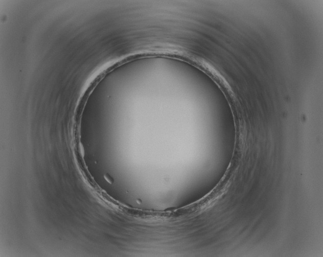 X0000081441085200702092219