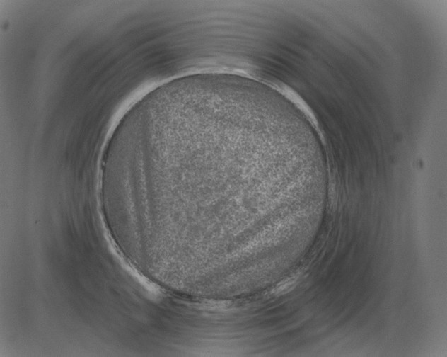 X0000081441096200702092218
