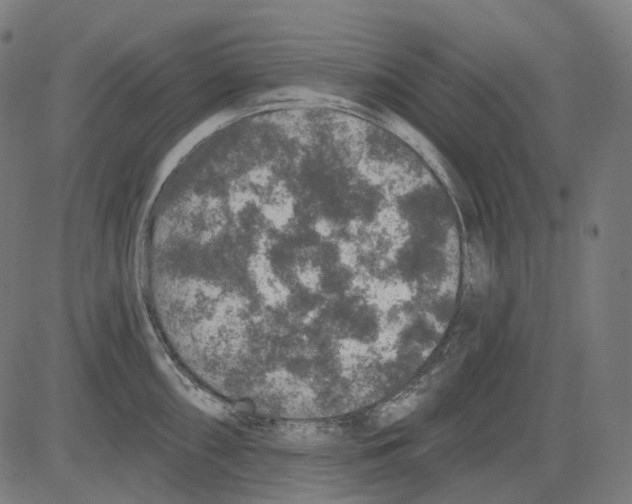 X0000081441098200702092218