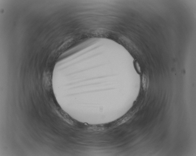 X0000081441107200702092218
