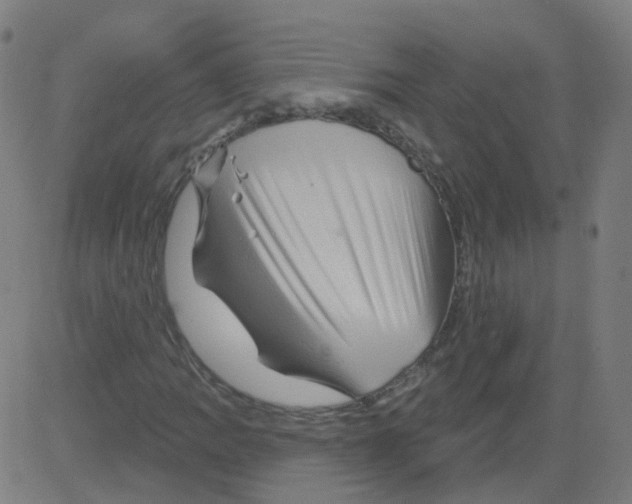 X0000081441109200702092218