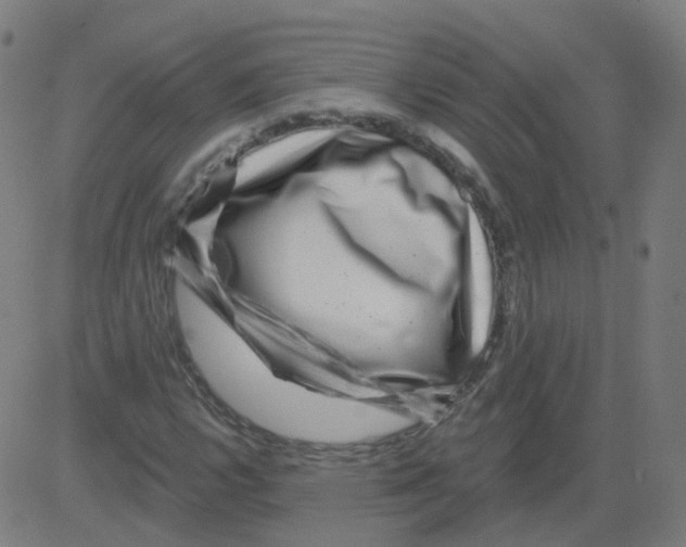 X0000081441112200702092218