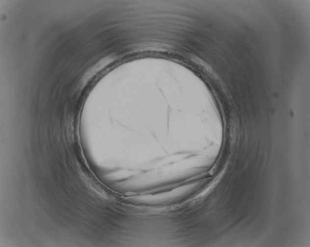 X0000081441113200702092218