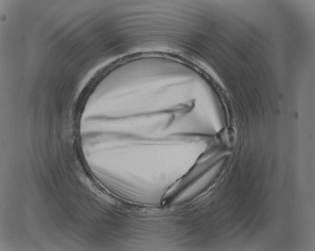 X0000081441116200702092218
