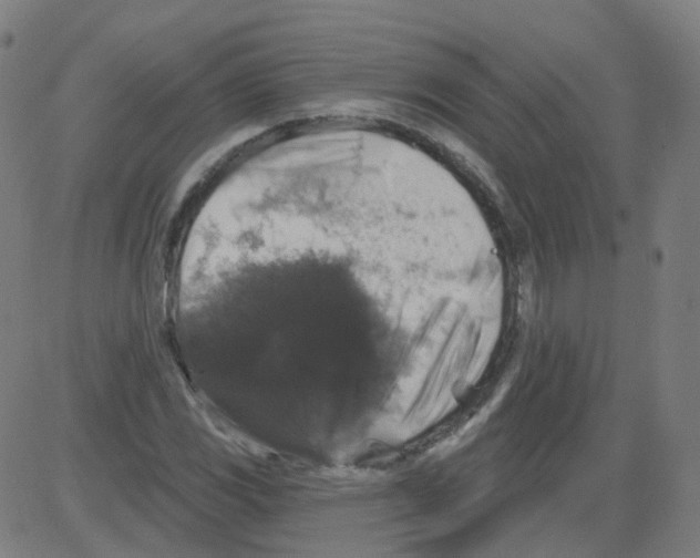 X0000081441117200702092218
