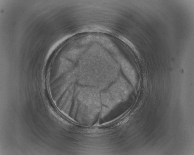 X0000081441120200702092218