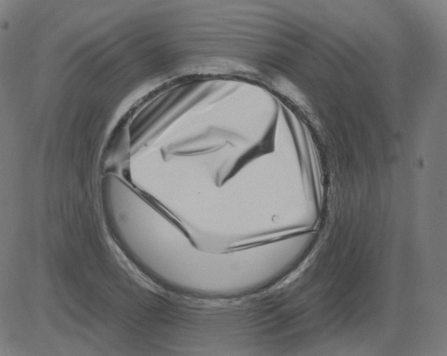 X0000081441122200702092218