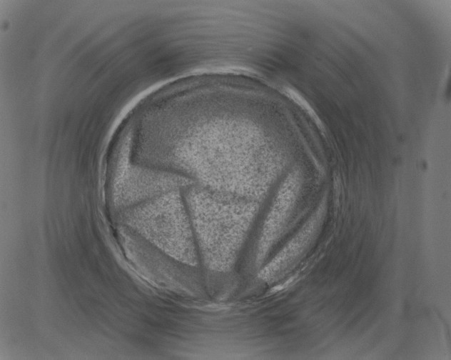 X0000081441124200702092218