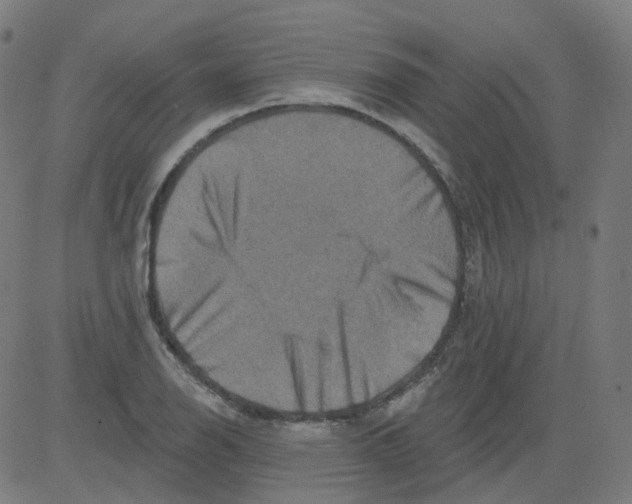 X0000081441126200702092218
