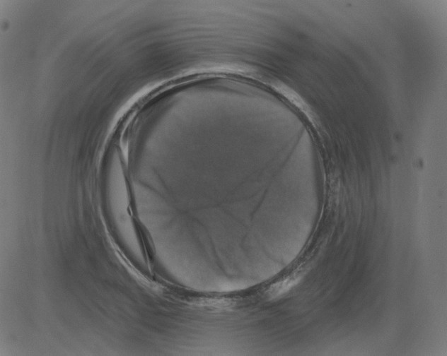 X0000081441127200702092218