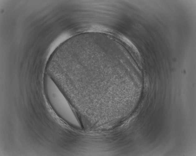 X0000081441138200702092218