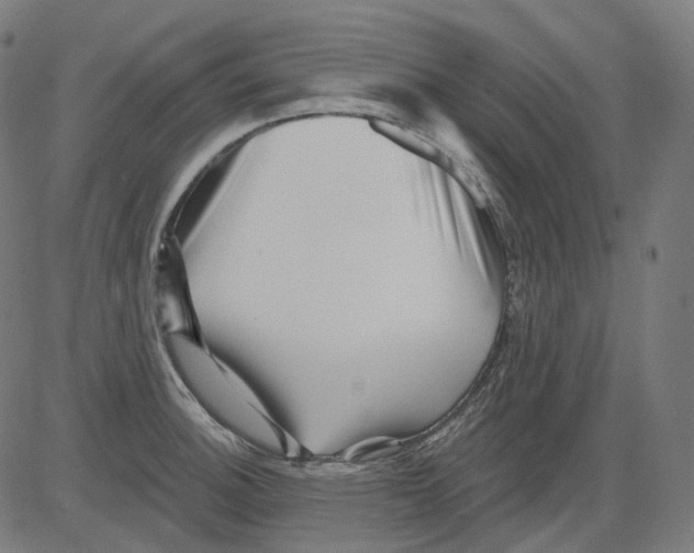 X0000081441140200702092218