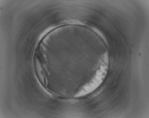 X0000081441141200702092218