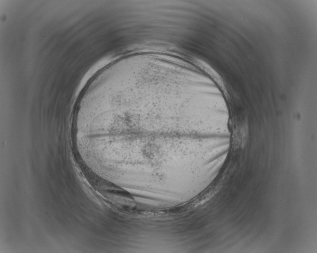 X0000081441146200702092218