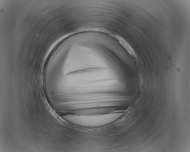 X0000081441148200702092218