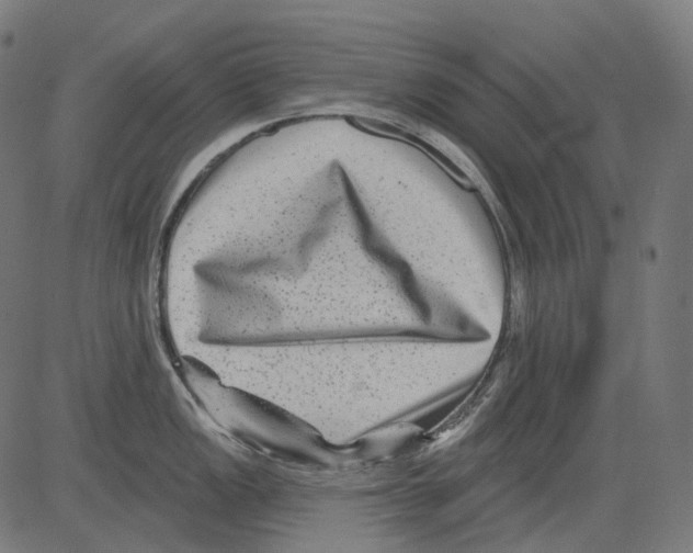 X0000081441149200702092218