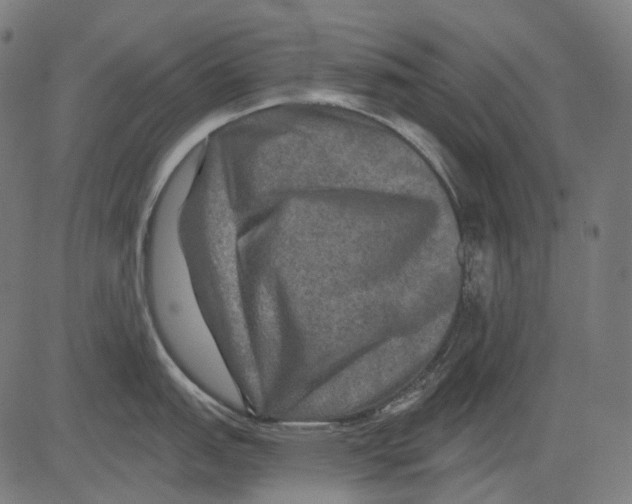 X0000081441151200702092218