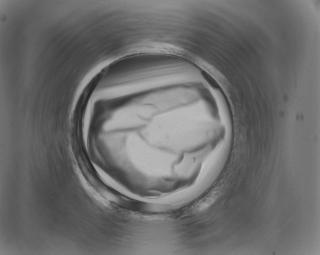 X0000081441152200702092218