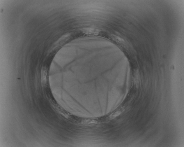 X0000081441154200702092217