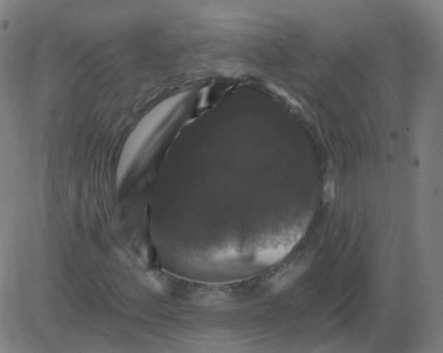X0000081441156200702092217