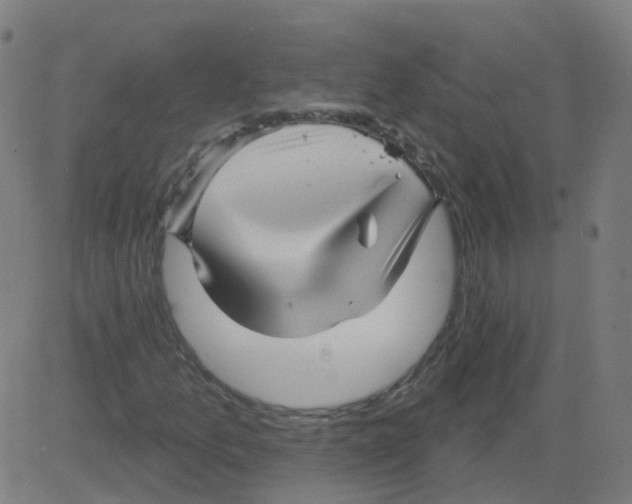 X0000081441157200702092217