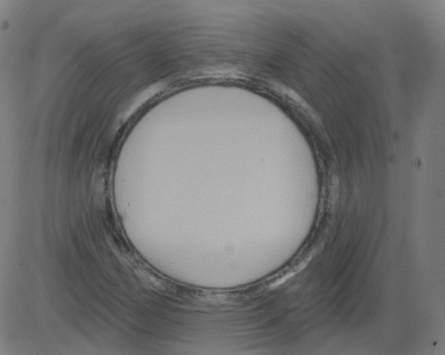 X0000081441162200702092217