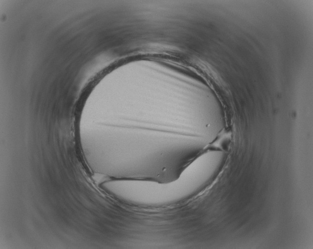X0000081441164200702092217