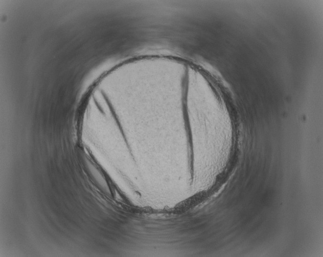 X0000081441167200702092217