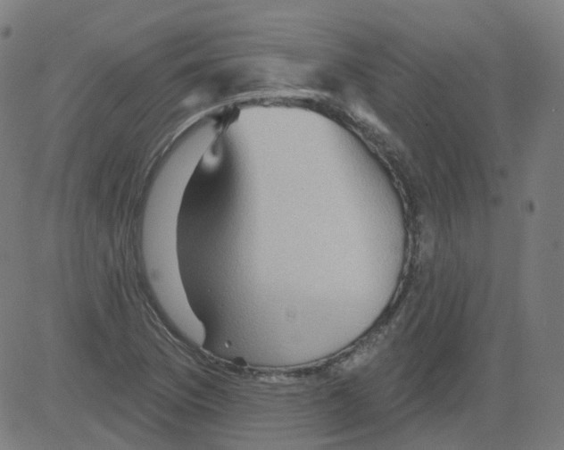 X0000081441169200702092217