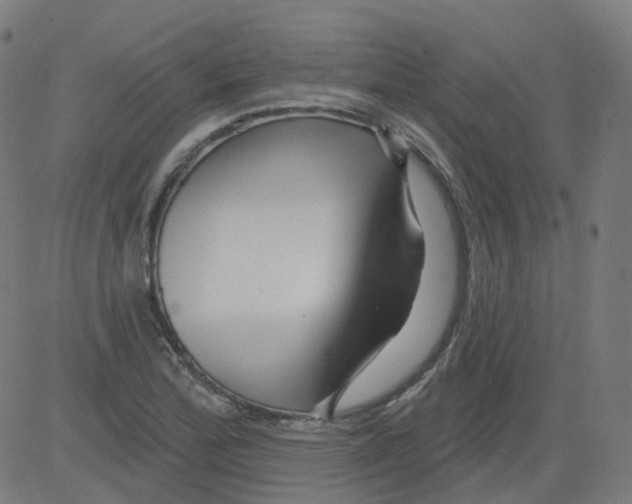 X0000081441172200702092217