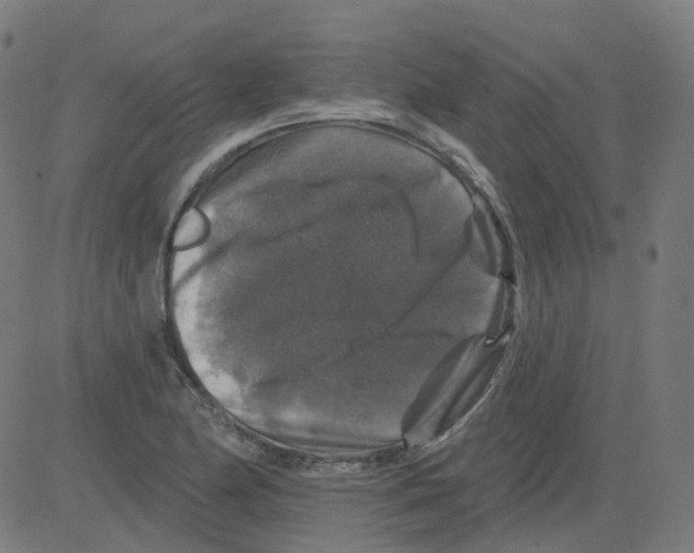 X0000081441174200702092217