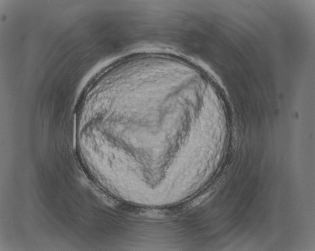 X0000081441175200702092217