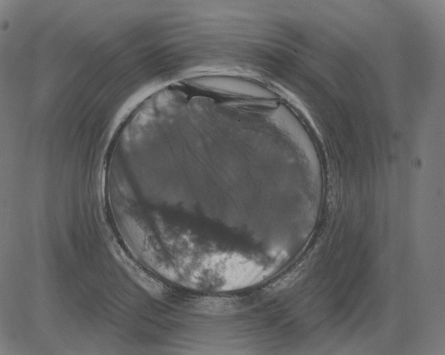 X0000081441179200702092217