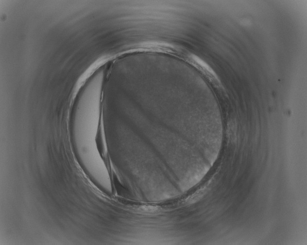 X0000081441180200702092217