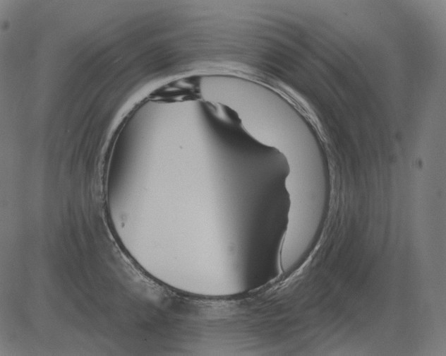 X0000081441192200702092217