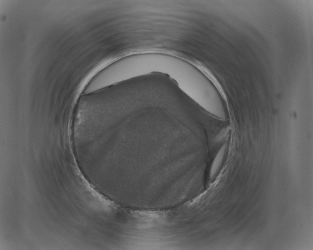 X0000081441197200702092217