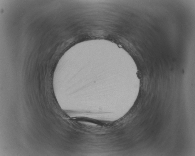 X0000081441201200702092216