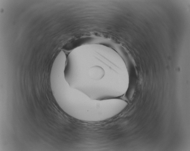 X0000081441202200702092216