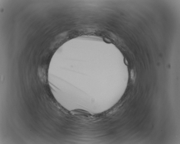 X0000081441203200702092216